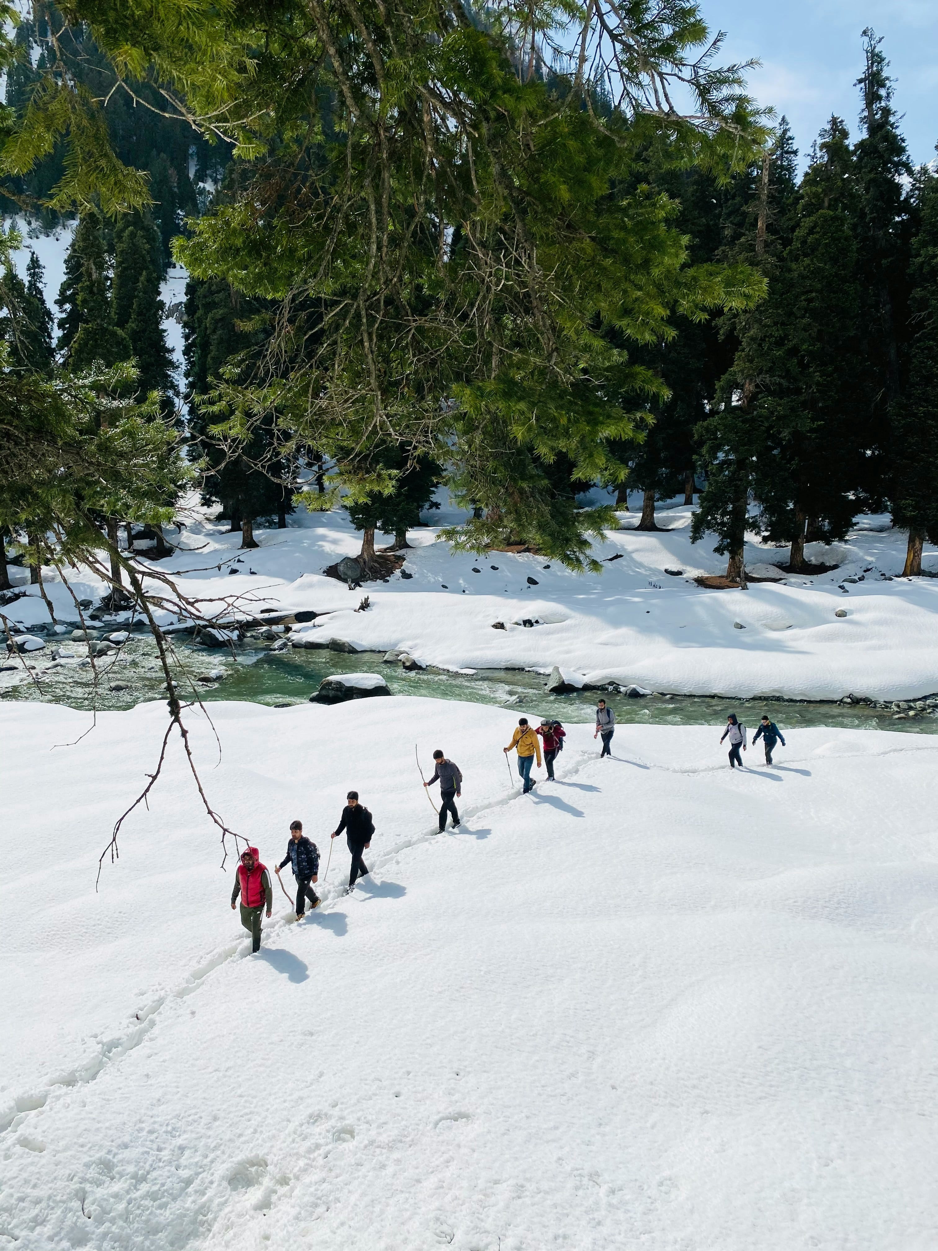 Trekking in Sonamarg